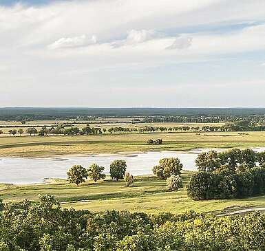 Elbtalaue bei Lenzen