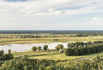 Elbtalaue bei Lenzen