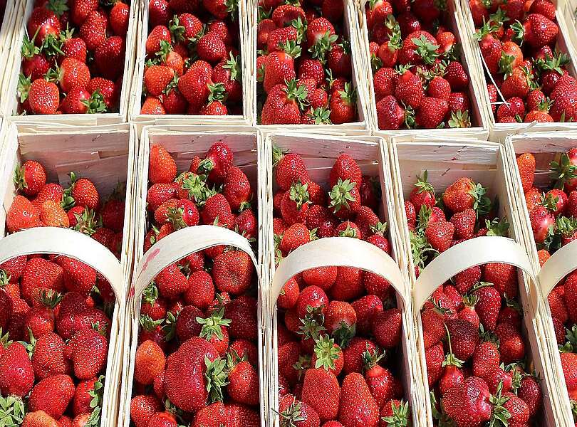 Erdbeeren aus Klaistow