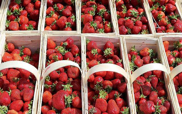 Erdbeeren aus Klaistow