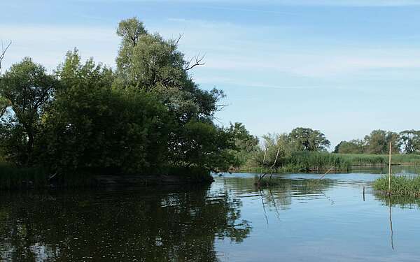 Der Gülper See im Naturpark Westhavelland