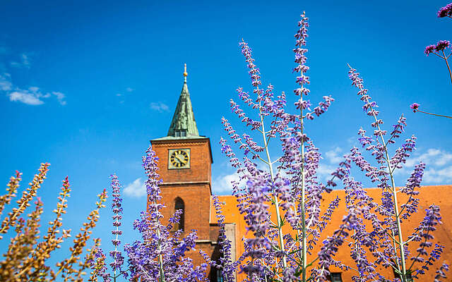 St. Marienkirche Bernau bei Berlin