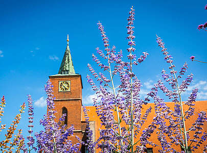 St. Marienkirche Bernau bei Berlin