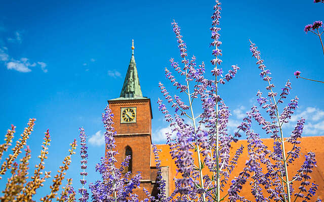 St. Marienkirche Bernau bei Berlin