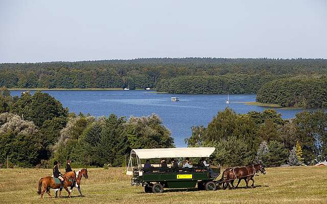 Kremserfahrt am Großen Lychensee Kremserfahrt am Großen Lychensee