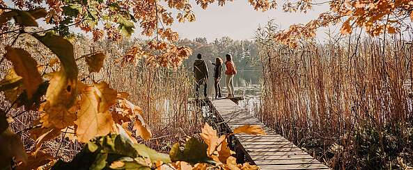 Spreewald im Herbst