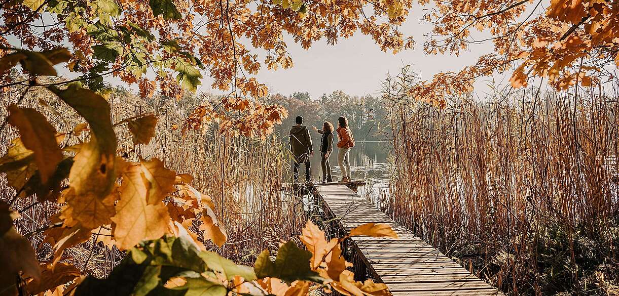 Spreewald im Herbst