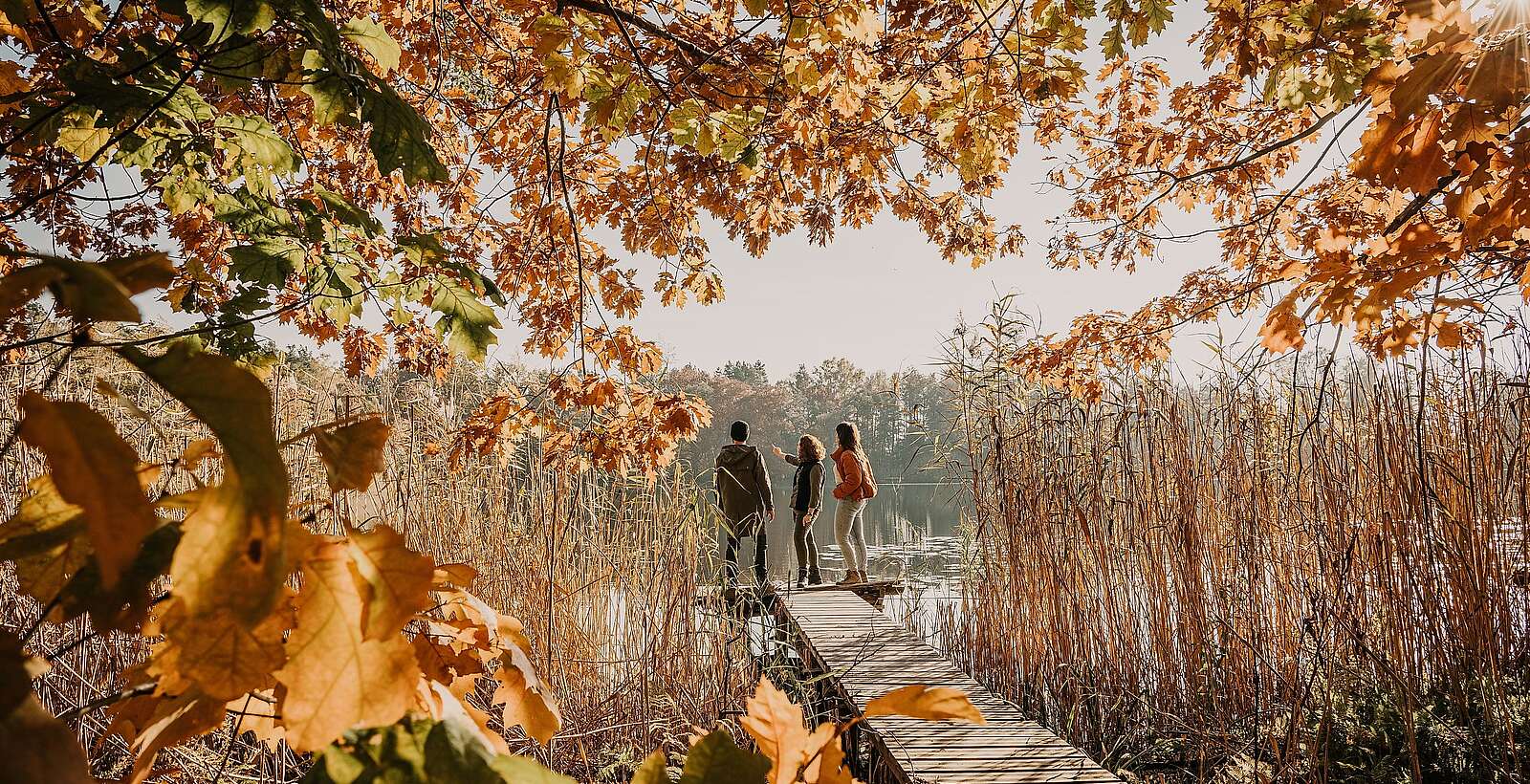 Spreewald im Herbst