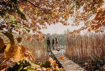 Spreewald im Herbst