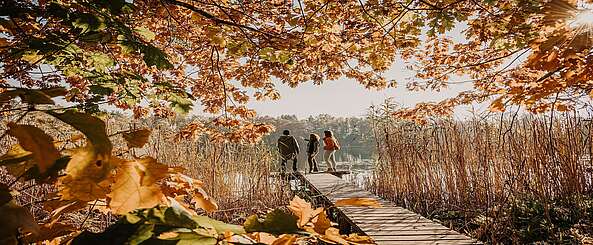 Spreewald im Herbst