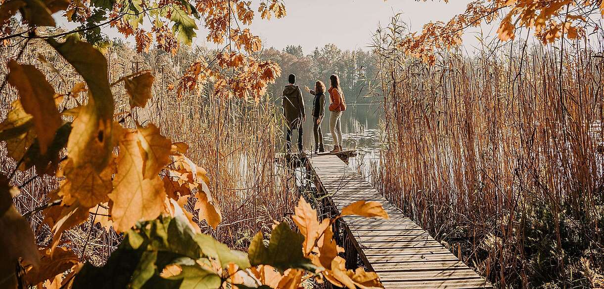 Spreewald im Herbst