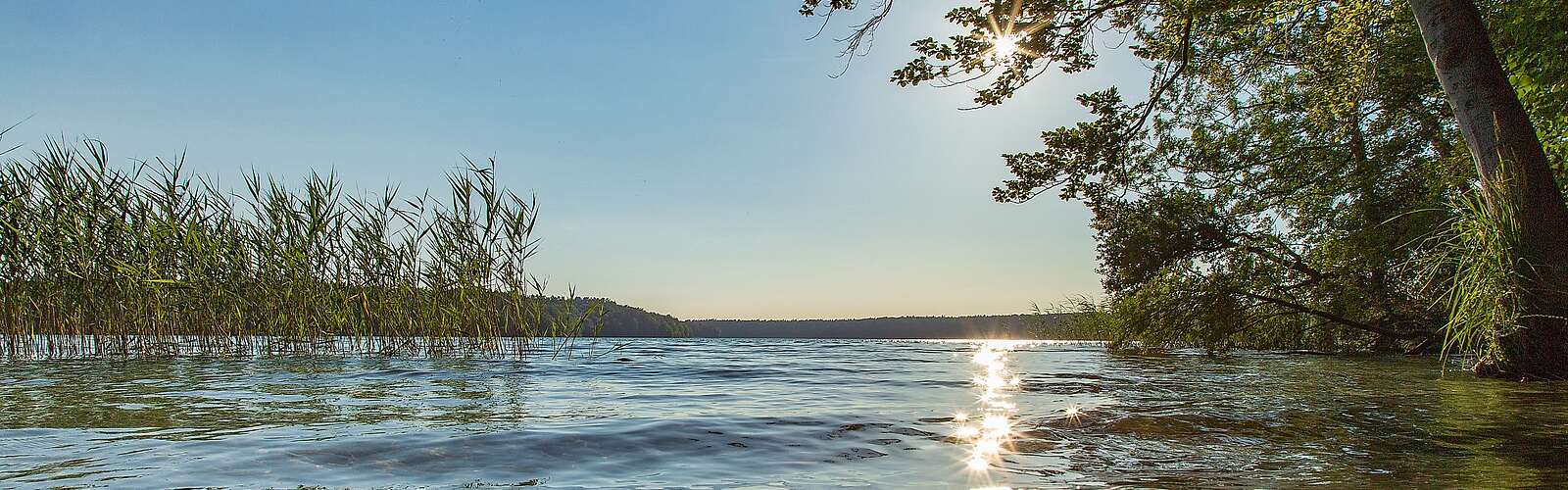 Blick auf den Stechlinsee