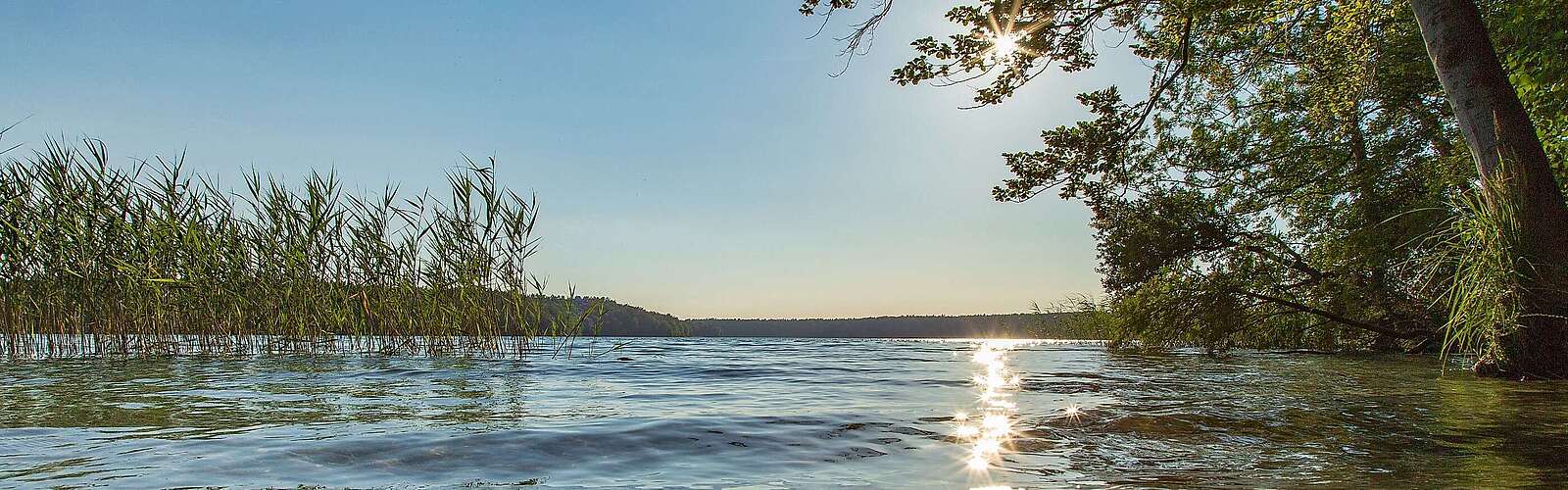 Blick auf den Stechlinsee