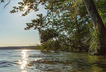 Blick auf den Stechlinsee