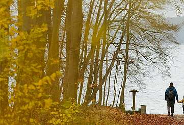 Familienwanderung am Stechlinsee