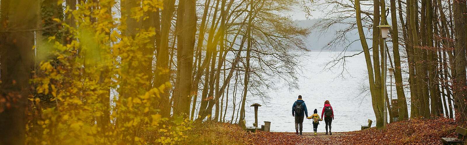 Familienwanderung am Stechlinsee