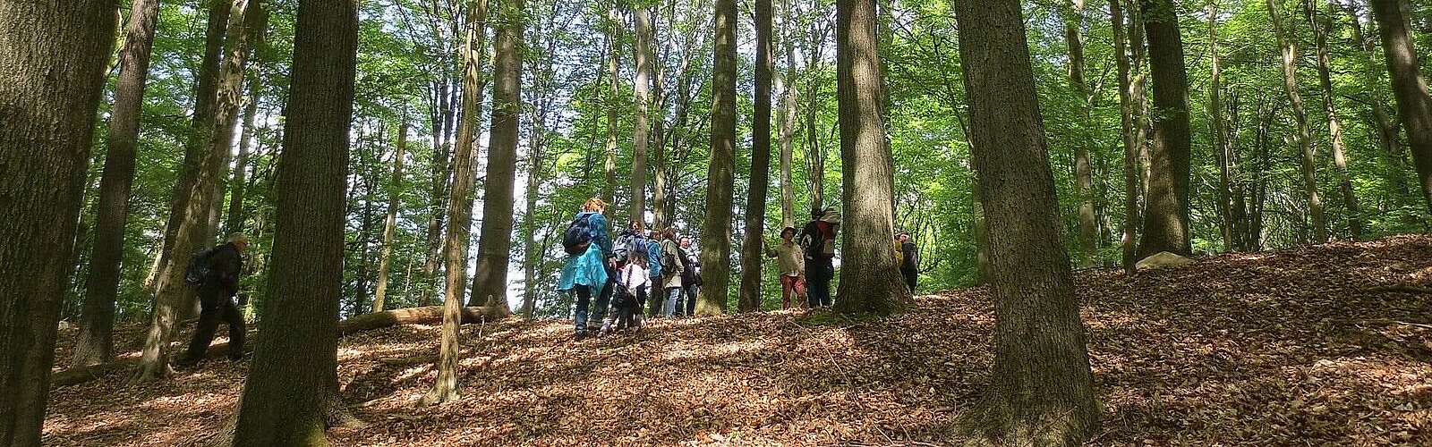 Wanderung durch den Grumsin