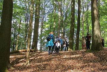 Wanderung durch den Grumsin