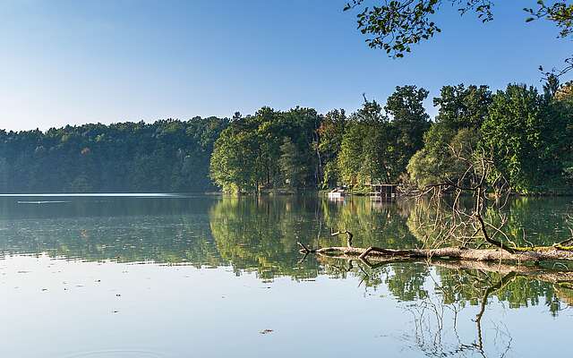 Wirchensee im Naturpark Schlaubetal Wirchensee im Naturpark Schlaubetal
