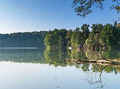 Wirchensee im Naturpark Schlaubetal