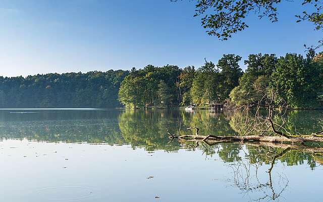 Wirchensee im Naturpark Schlaubetal