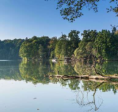 Wirchensee im Naturpark Schlaubetal