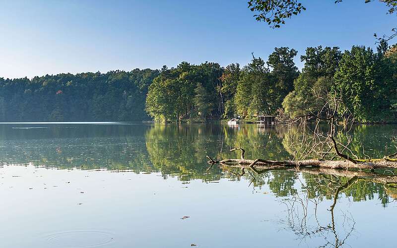 Wirchensee im Naturpark Schlaubetal