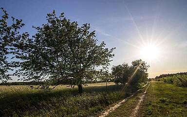 Wandern zwischen Feldern