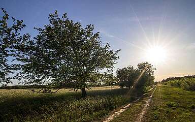 Wandern zwischen Feldern