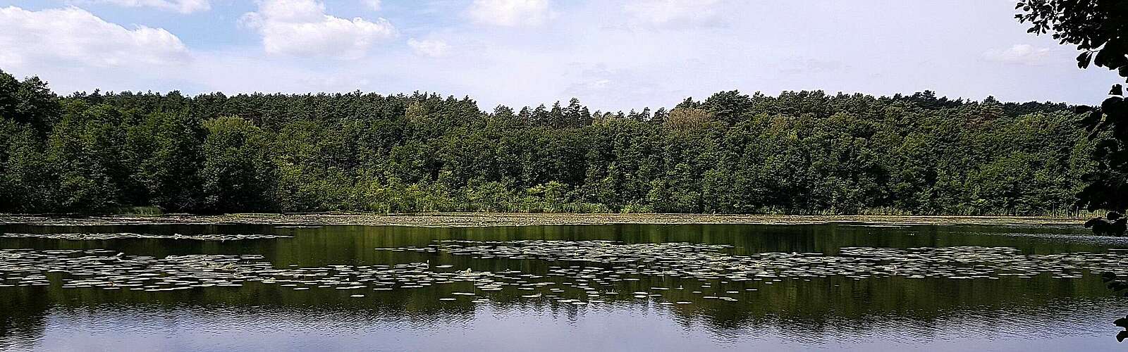Strehlesee im Naturpark Barnim