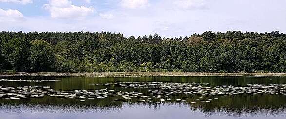 Strehlesee im Naturpark Barnim