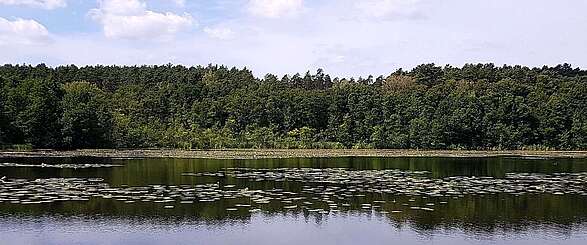 Strehlesee im Naturpark Barnim