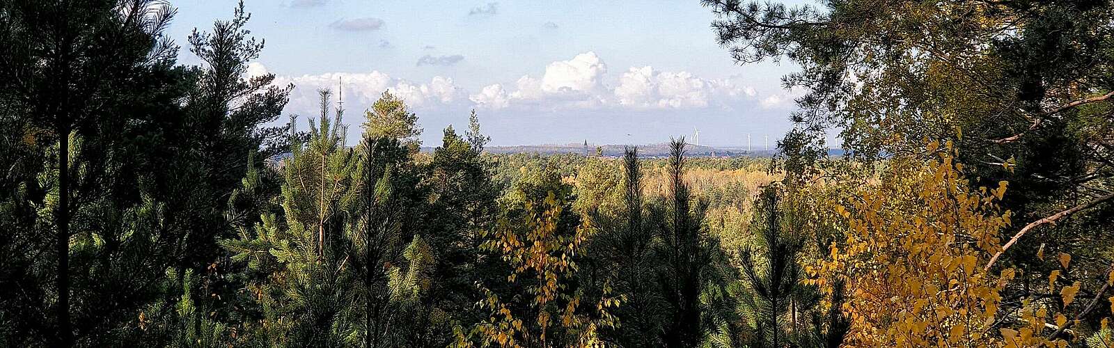 In der Calauer Schweiz