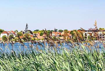 Blick über den Ruppiner See