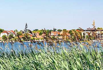 Blick über den Ruppiner See