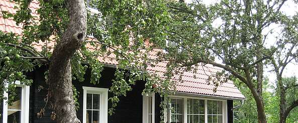 Terrasse eines Apartments