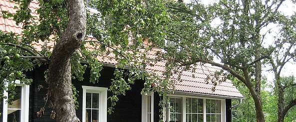 Terrasse eines Apartments