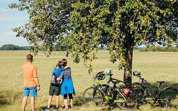 Familie bei Pause von Radtour