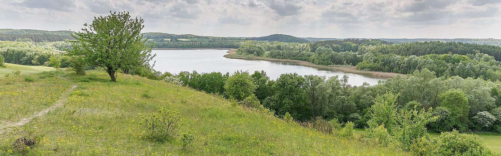 Landschaft in der Schorfheide