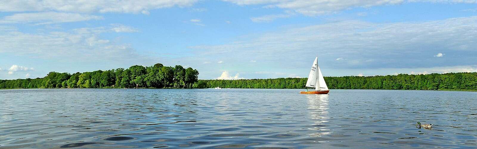 Segeln im Dahme-Seenland