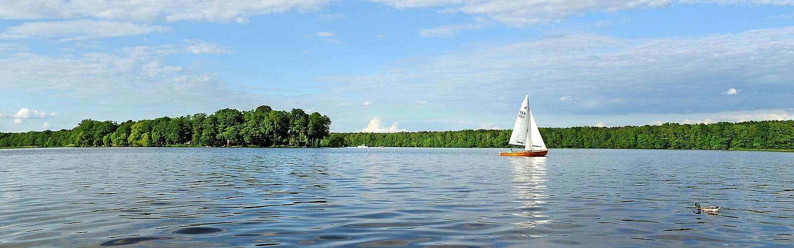 Segeln im Dahme-Seenland