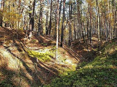 In der Calauer Schweiz