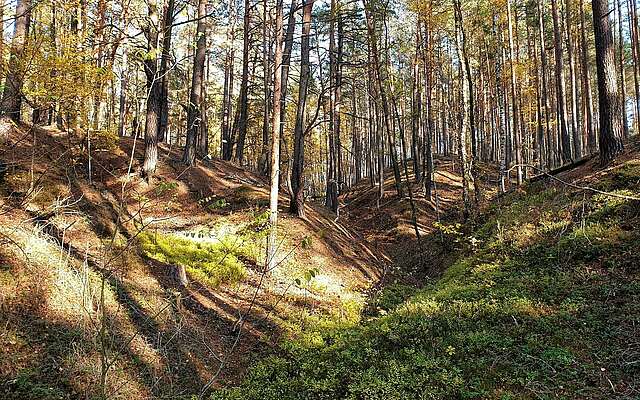 In der Calauer Schweiz