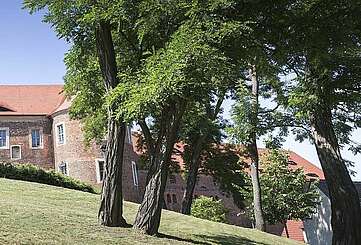 Burg Eisenhardt Bad Belzig