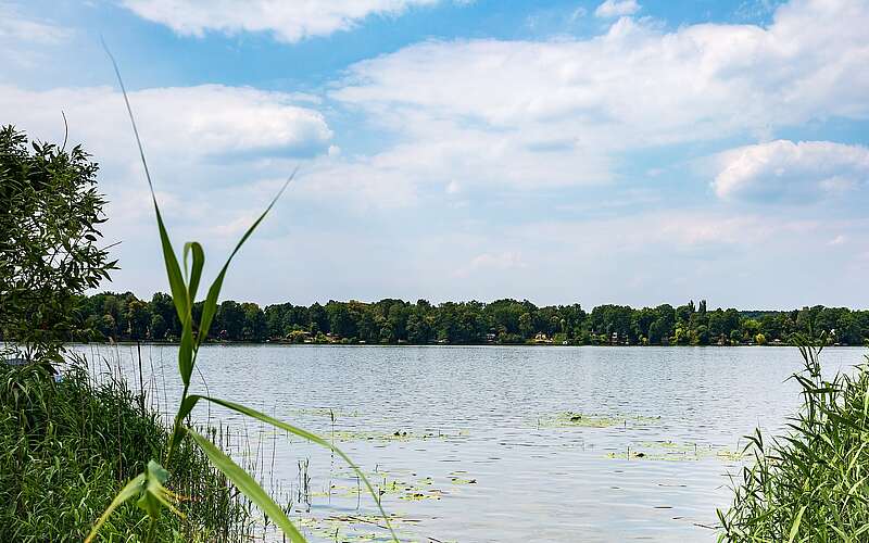 Teupitzer See