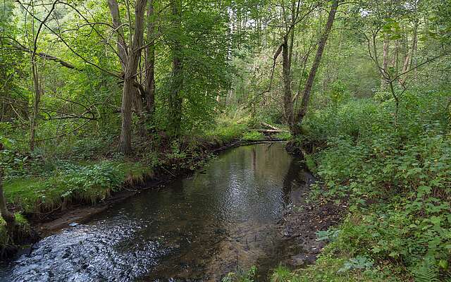 Das Hellmühler Fließ im Biesenthaler Becken Das Hellmühler Fließ im Biesenthaler Becken