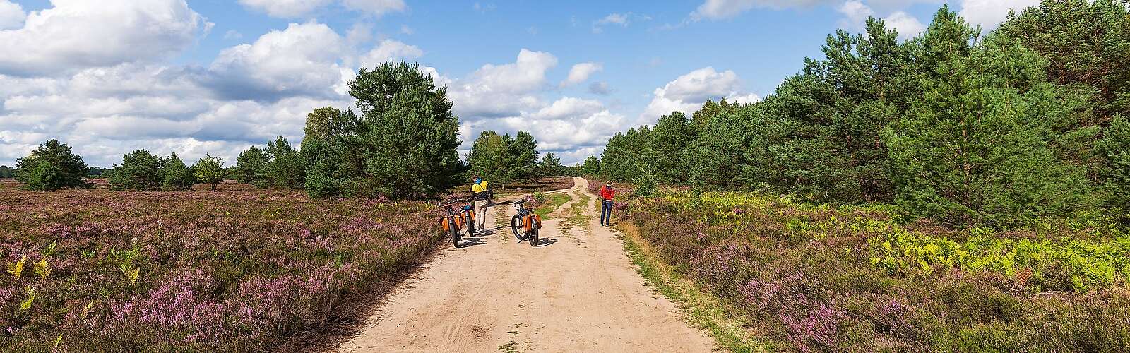 Mit dem Fahrrad durch die Kyritz-Ruppiner Heide