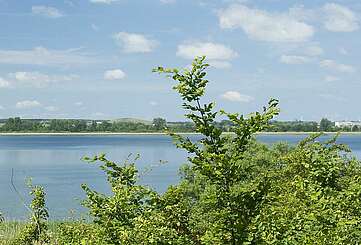 Blick auf die Uckerseen