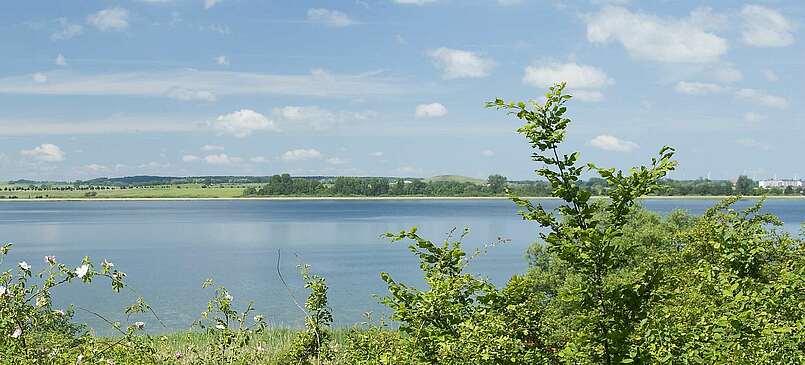 Blick auf die Uckerseen
