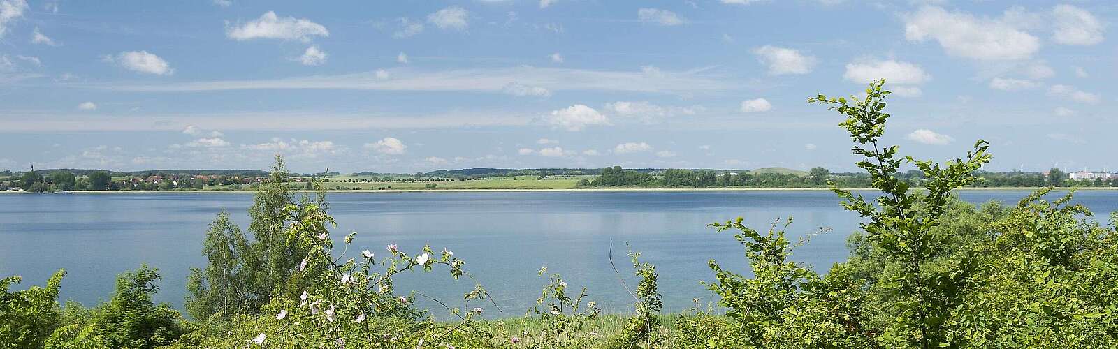 Blick auf die Uckerseen